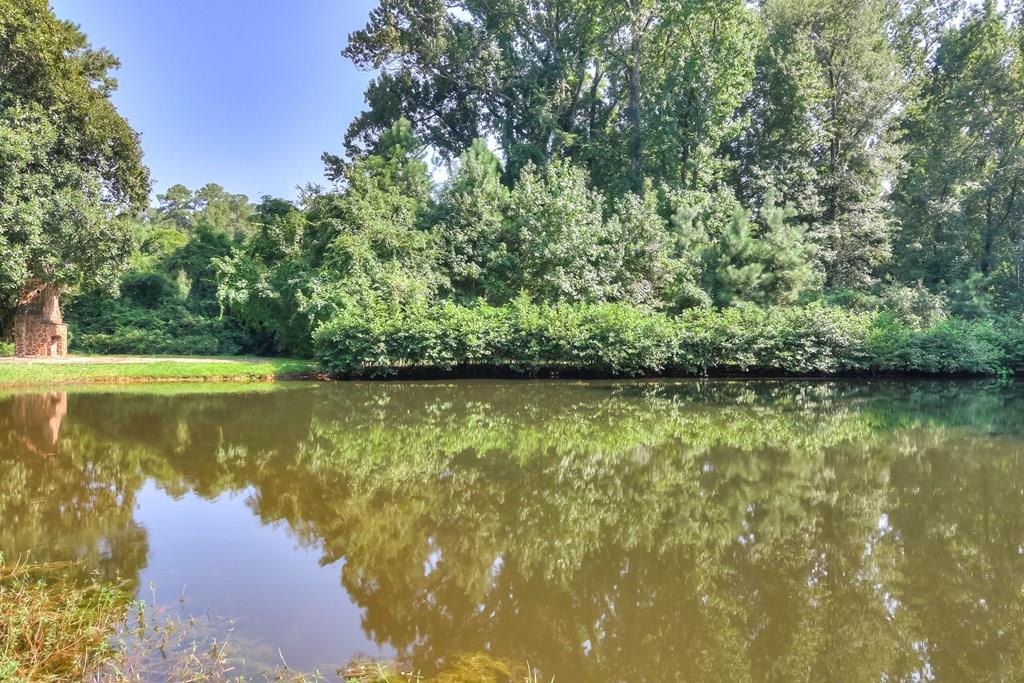 204 Steeple Ridge Road Aiken, SC 29803 - Photo 4 of 10 Gallery Image 4
