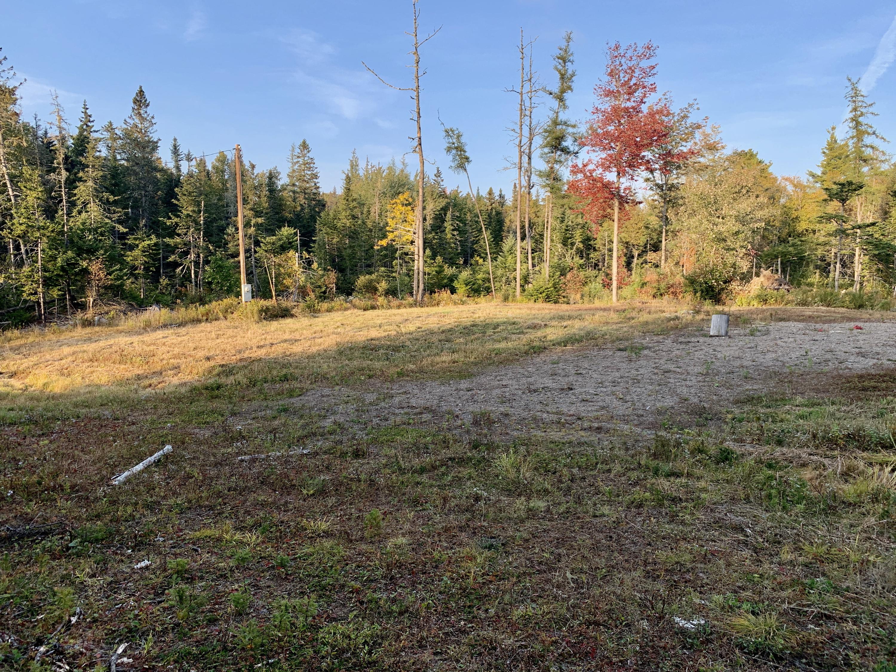 473 Cannon Hill Road Perry, ME 04667 - Photo 5 of 12 IMG_1841