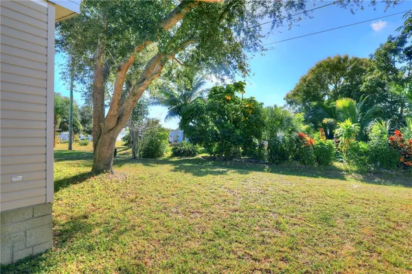 a view of backyard with large trees