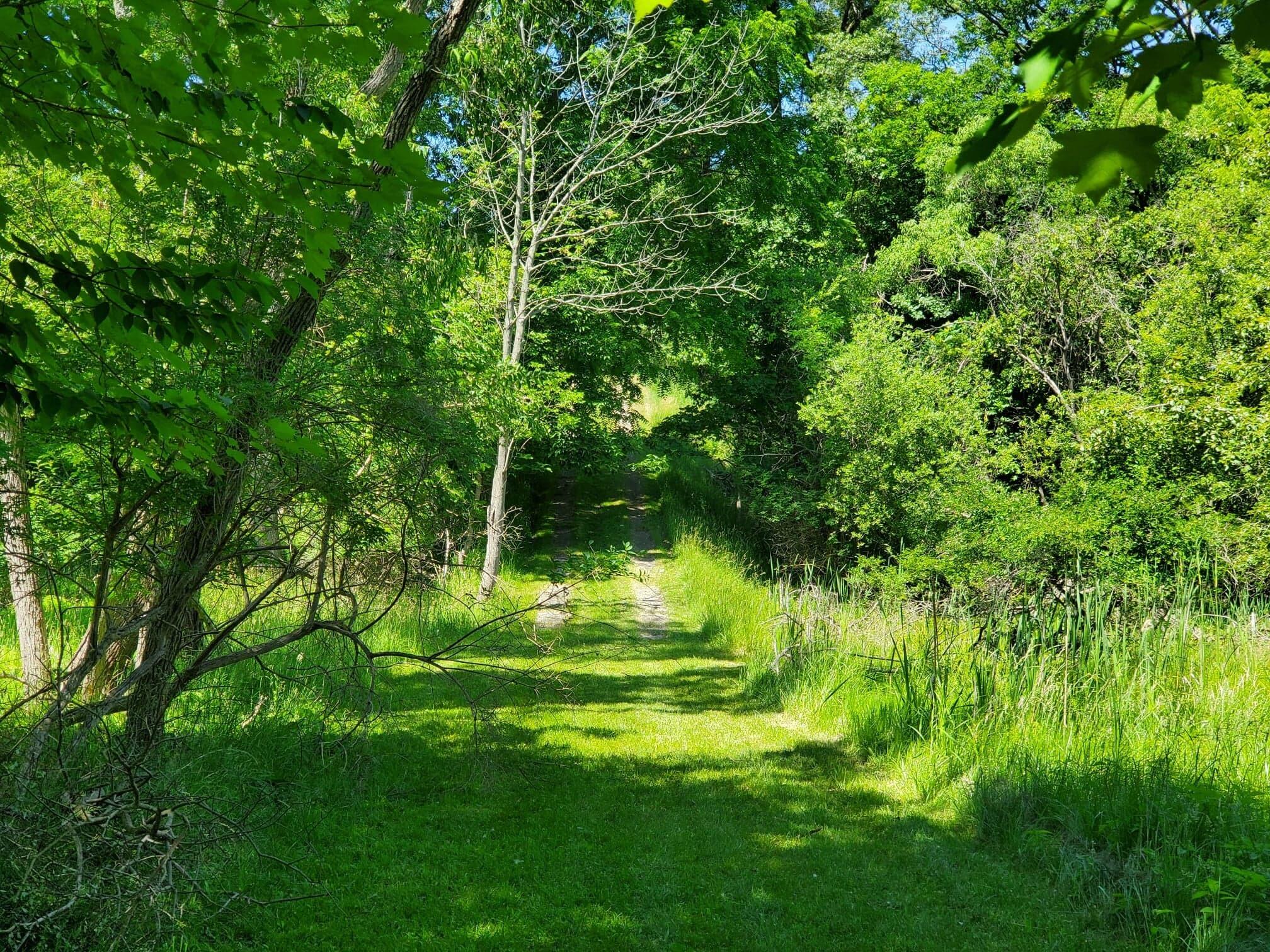 Lot 2 West Old Channel Trail Montague, MI 49437 - Photo 4 of 12 289910426_1102062850660928_1493657565167