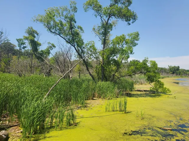 $139,900 | Lot 2 West Old Channel Trail, Montague, MI 49437