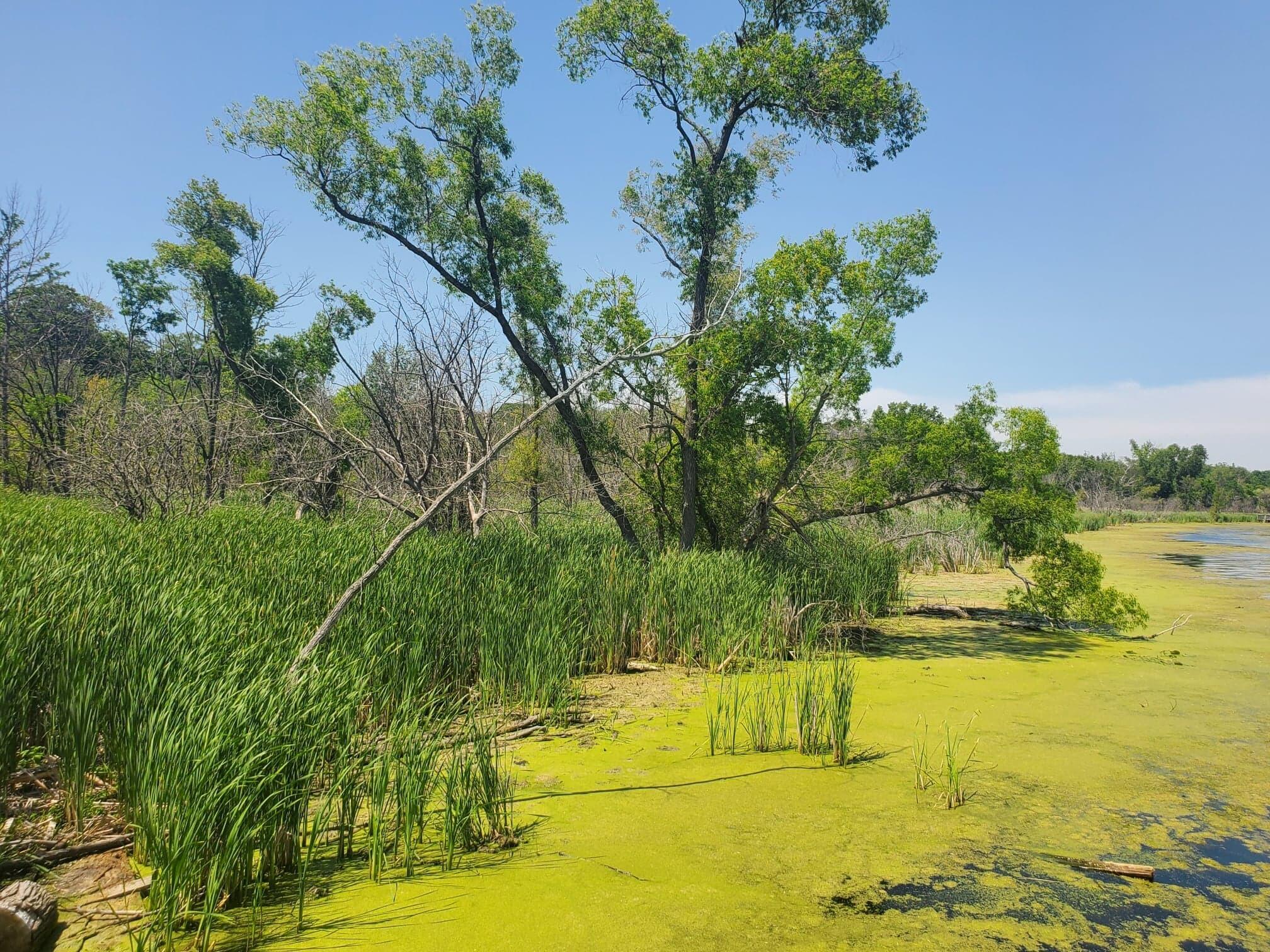 Lot 2 West Old Channel Trail Montague, MI 49437 - Photo 6 of 12 289692860_1070145163710294_3241090089560
