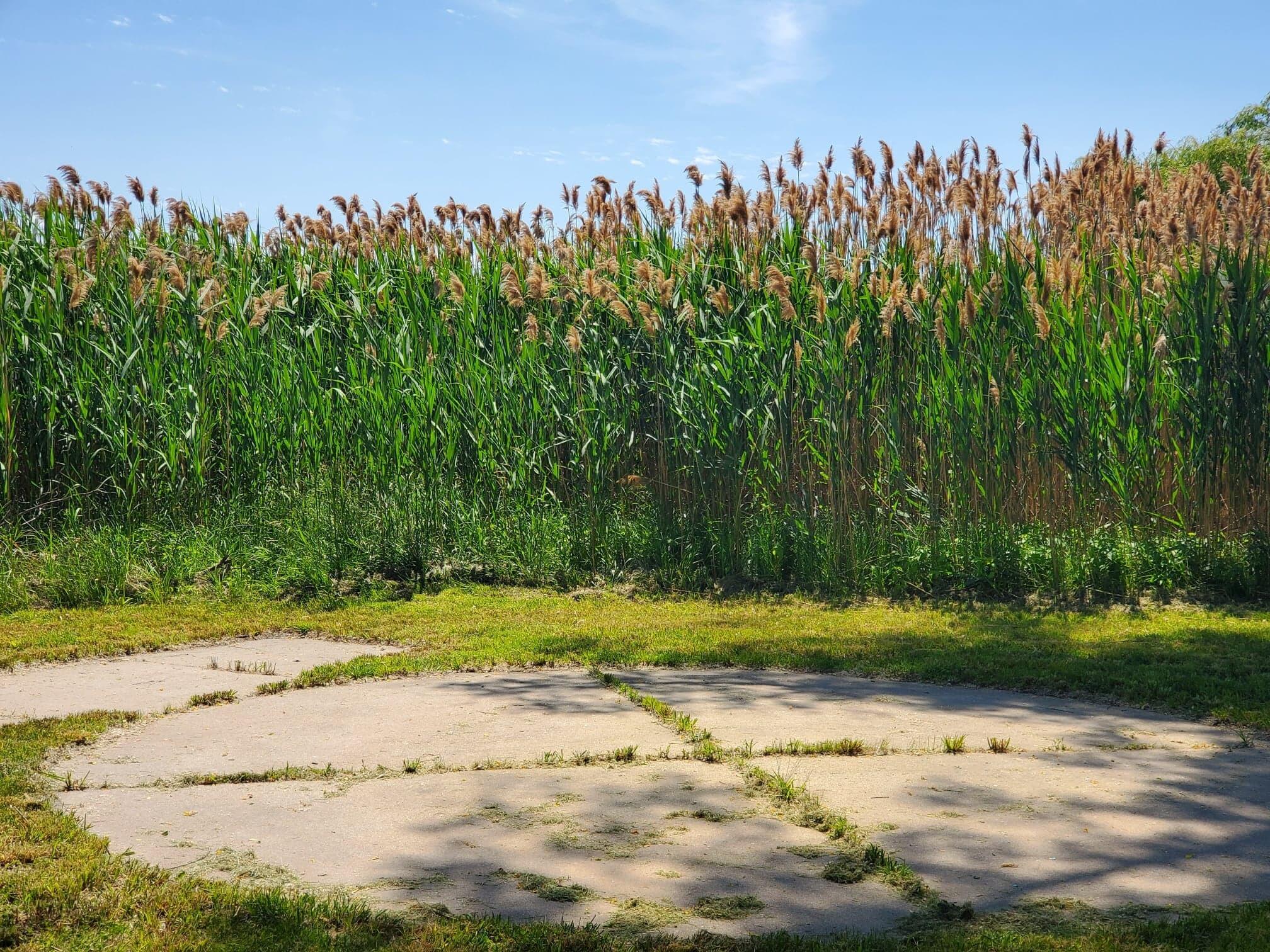Lot 2 West Old Channel Trail Montague, MI 49437 - Photo 8 of 12 289611204_1469246943528088_3293820798475