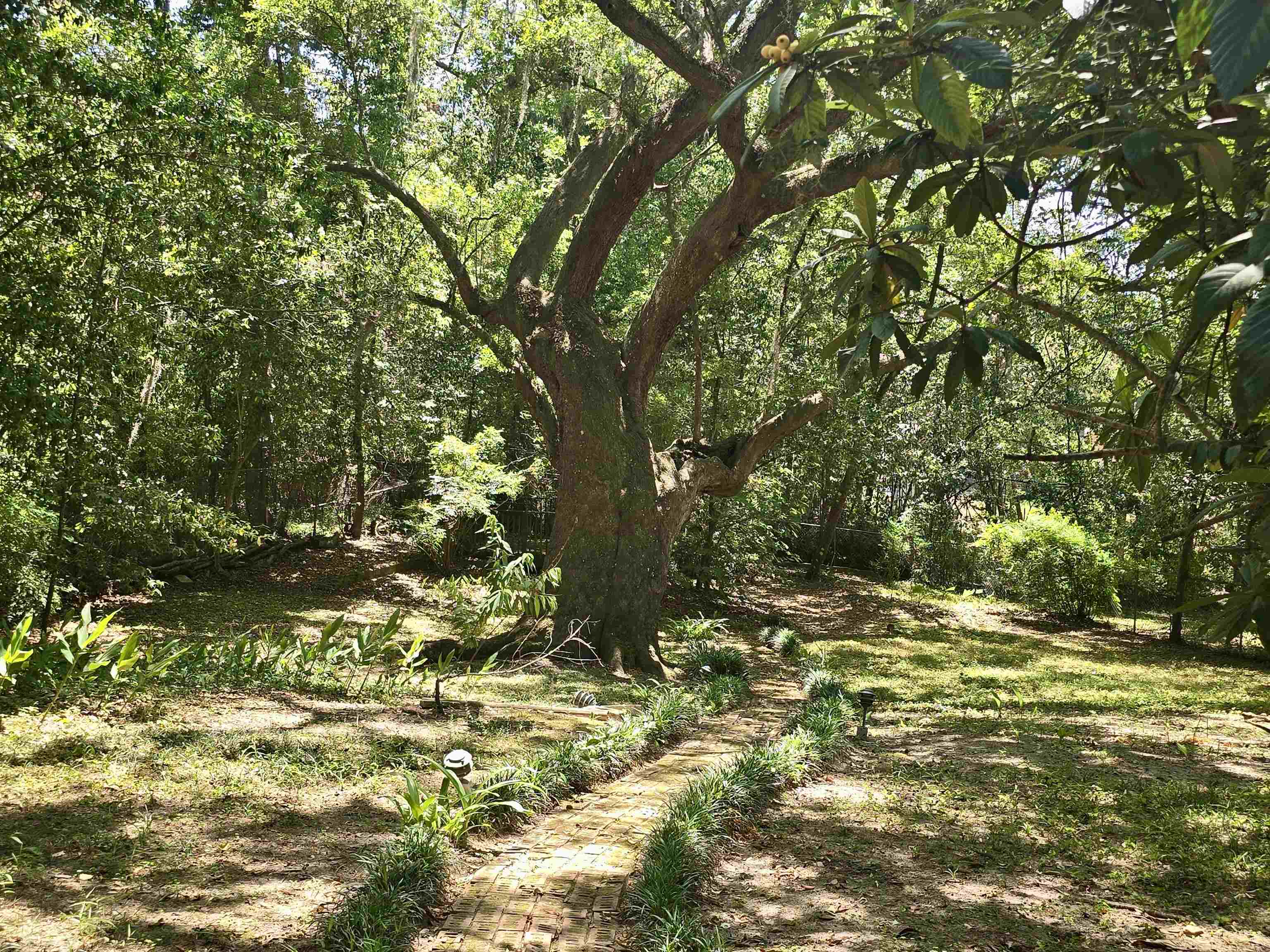 727 Miccosukee Road Tallahassee, FL 32308 - Photo 45 of 68