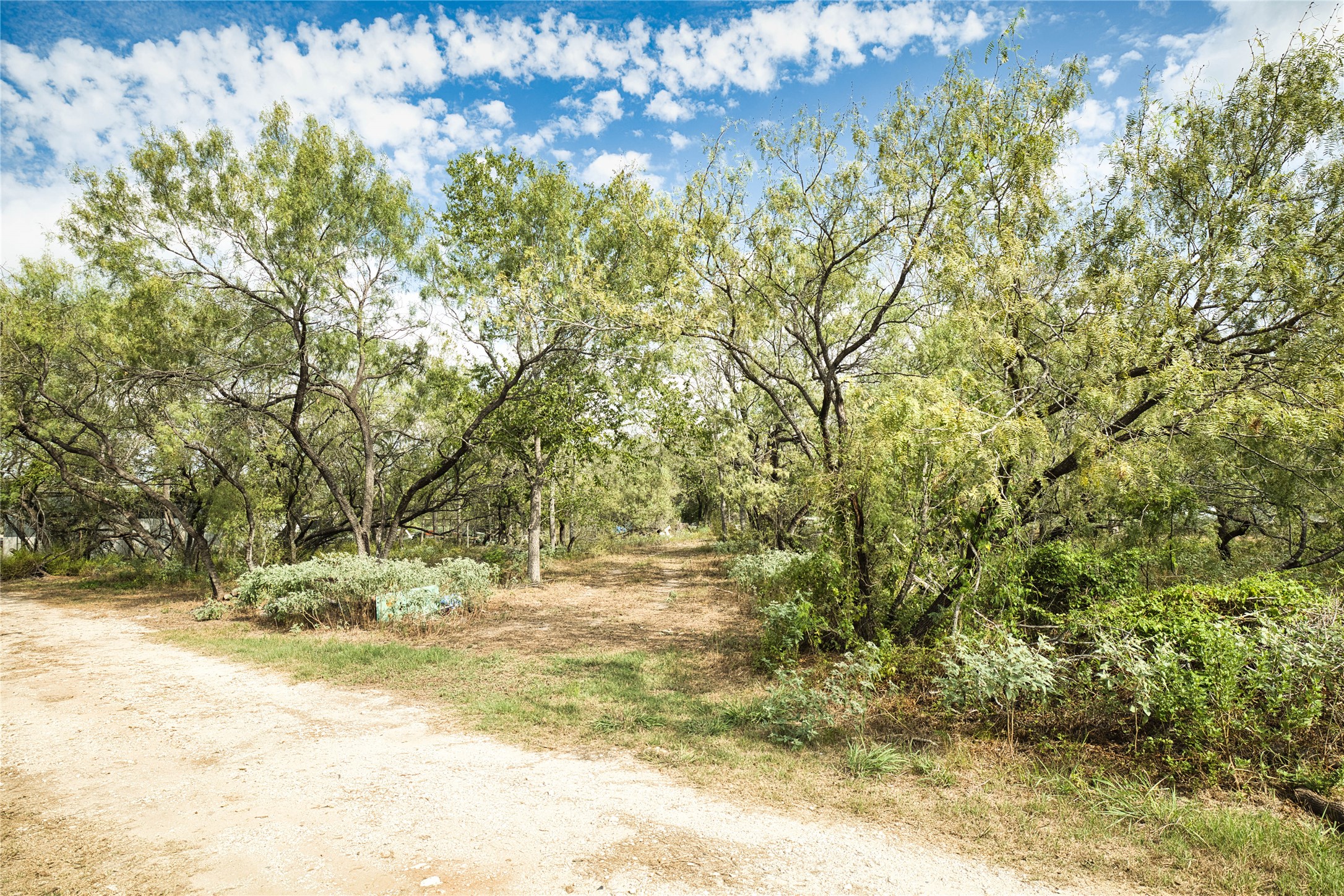 2900 Salt Flat Road Luling, TX 78648 - Photo 11 of 17 Mature trees frame a peaceful clearing under a wide blue sky.
