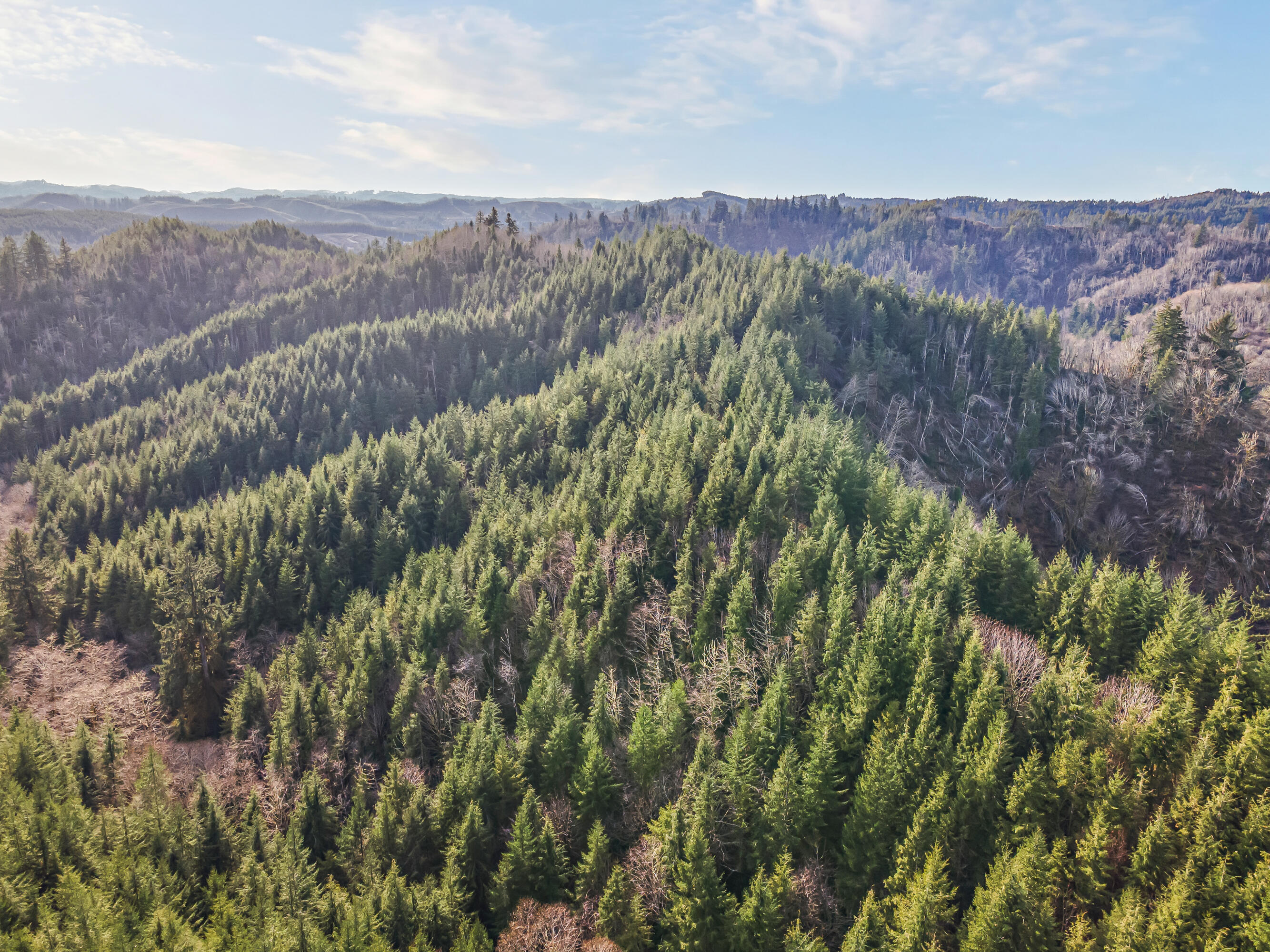 0 Criteser Loop Toledo, OR 97391 - Photo 18 of 31 DJI_0673