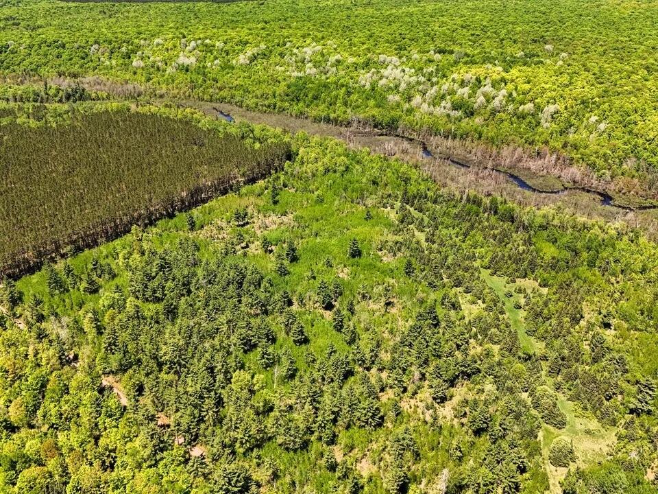 16 Federal Forest Highway Iron River, MI 49935 - Photo 9 of 12 10
