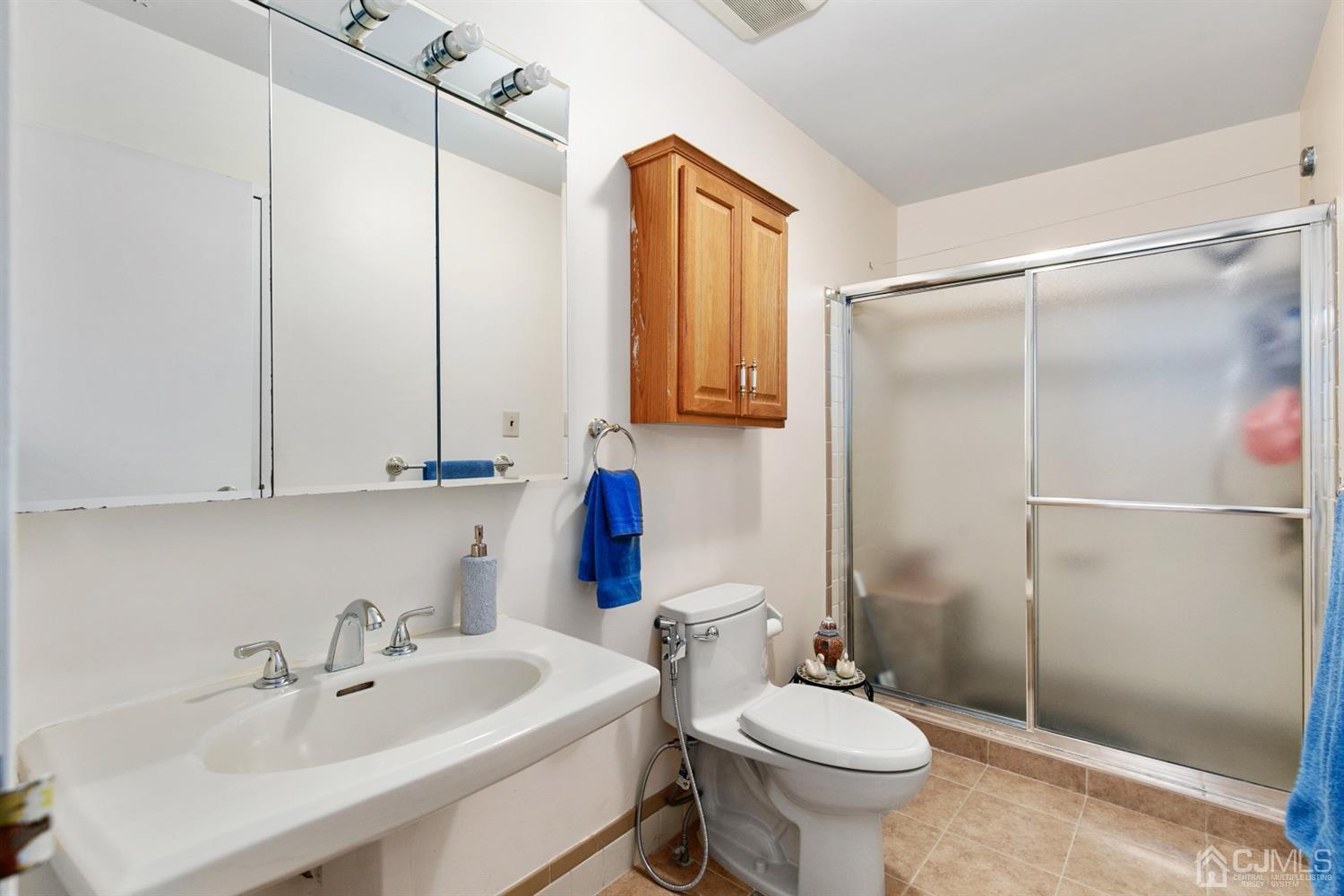 7303 Hana Road Edison, NJ 08817 - Photo 20 of 24 a bathroom with a sink toilet and shower