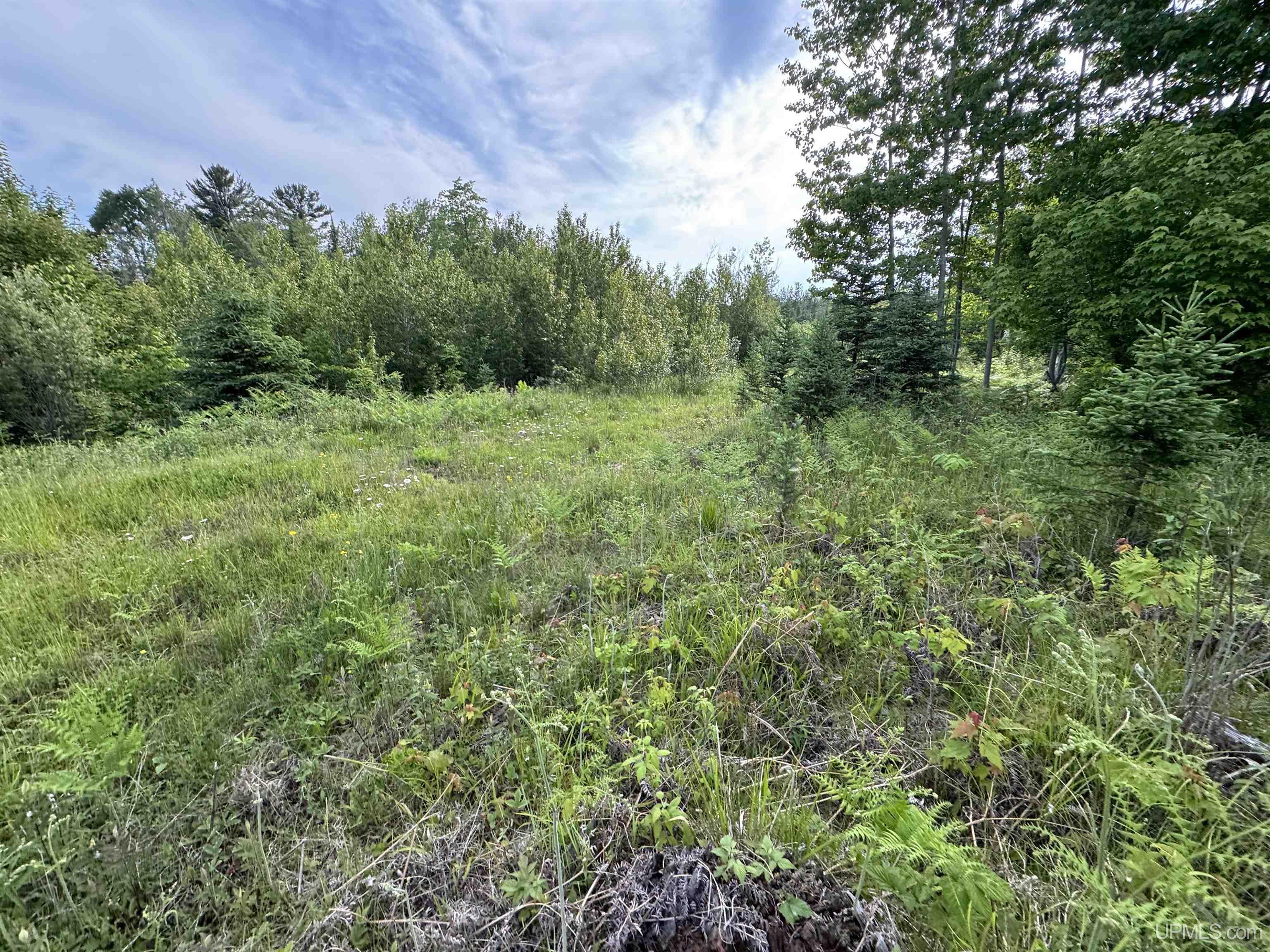 9627 Bb Road Rapid River, MI 49878 - Photo 9 of 11 Gallery Image 9