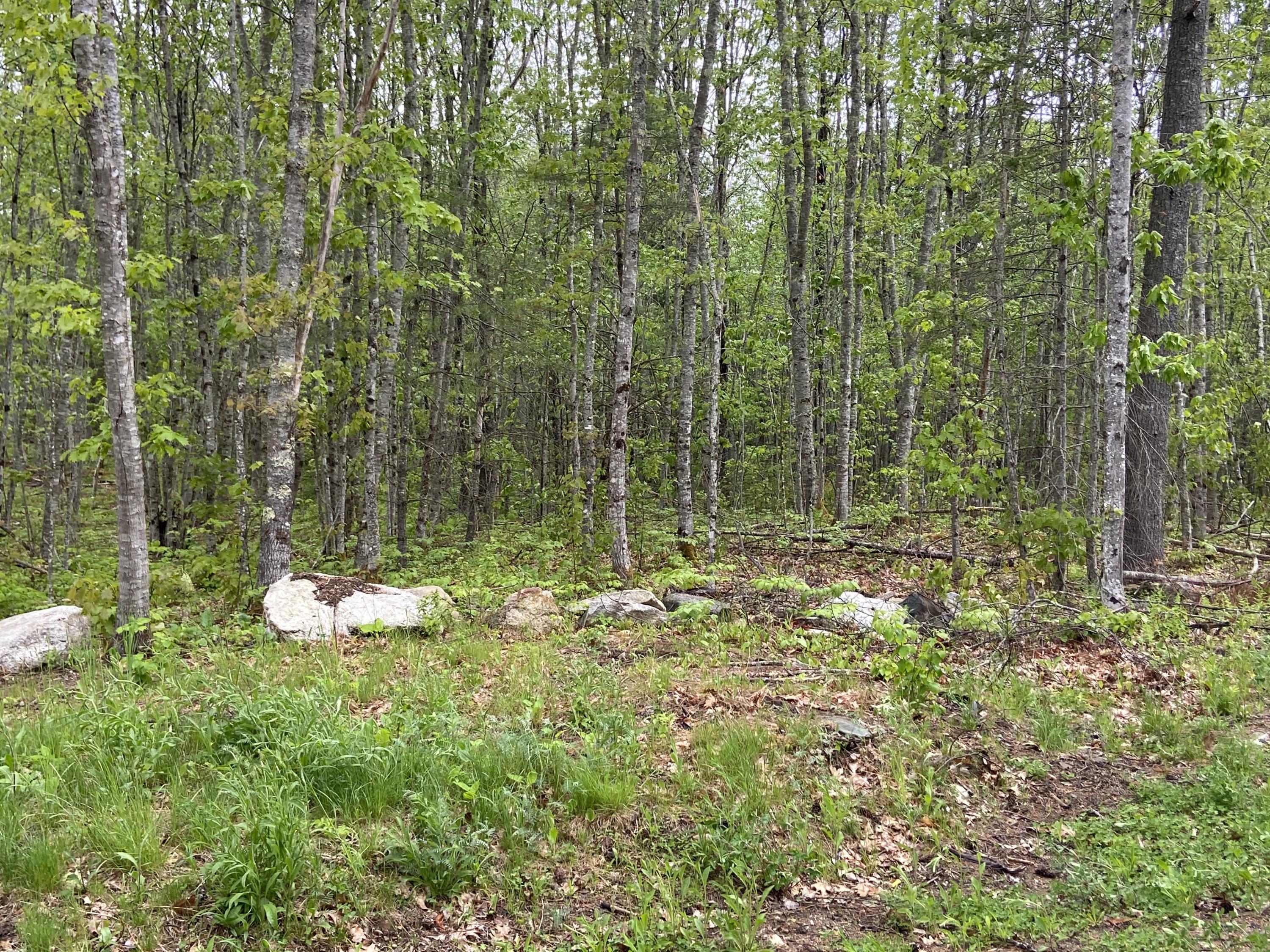 1 Will Butler Lane Bremen, ME 04551 - Photo 9 of 16 IMG_1424
