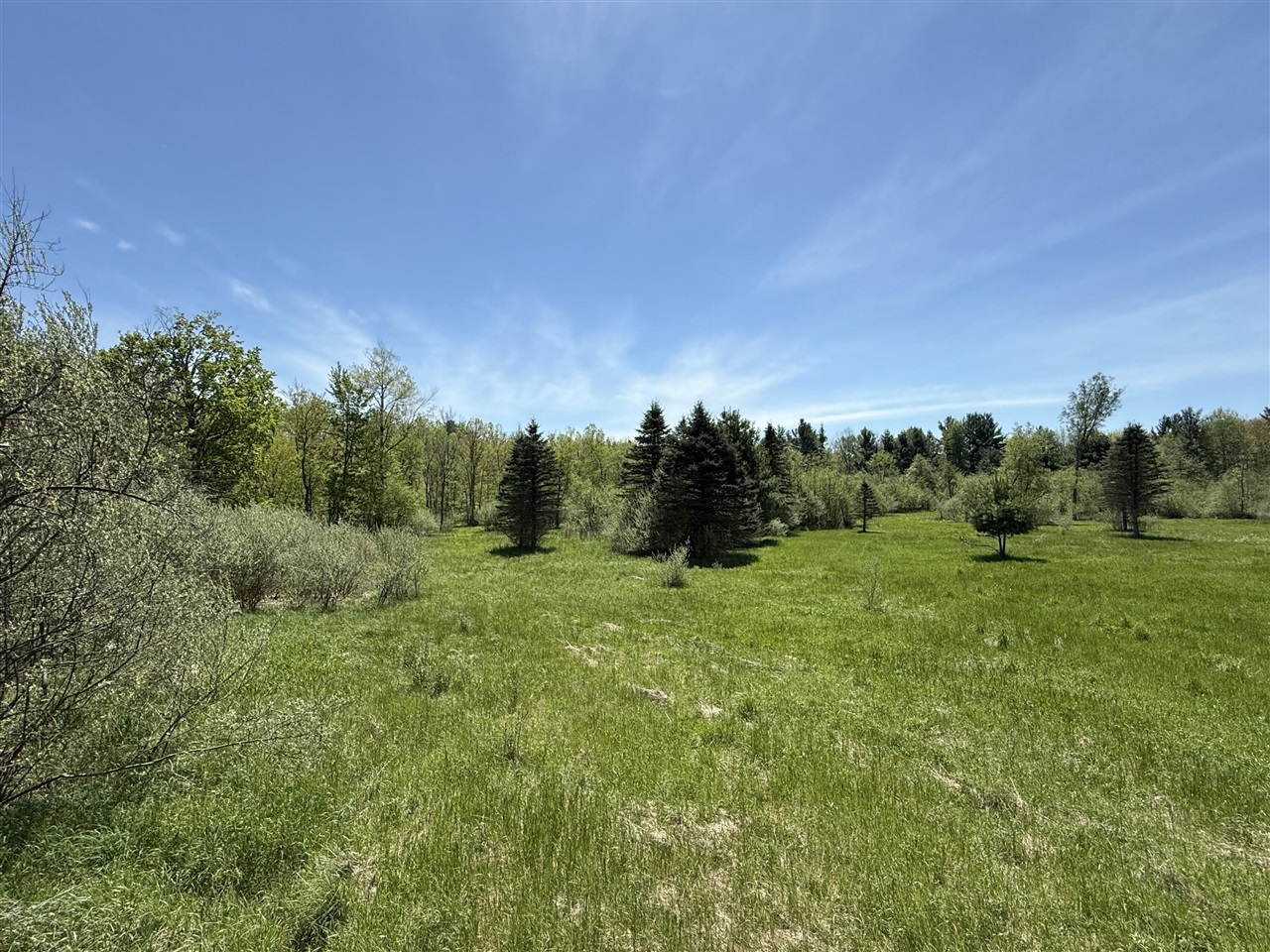 V/l Mcbride Road Stanton, MI 48888 - Photo 8 of 8