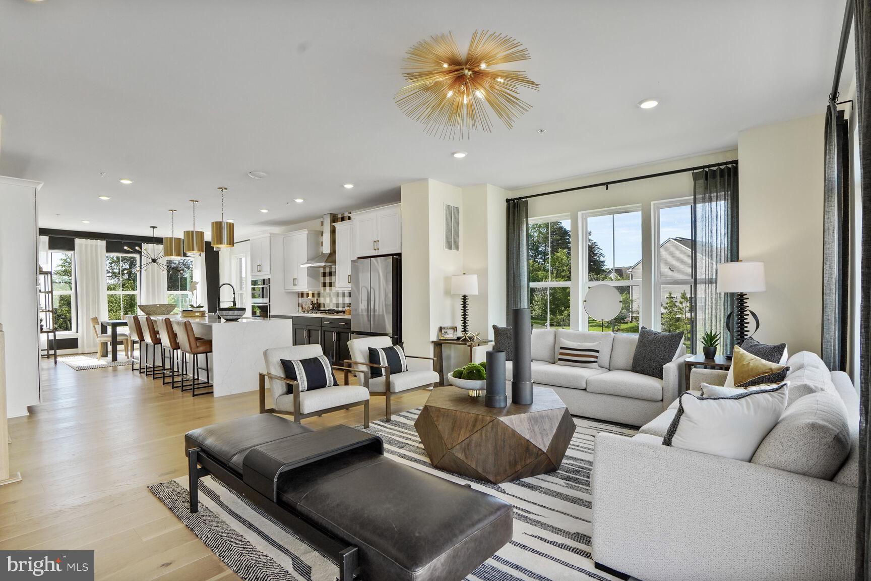 42116 Hazel Grv Terrace Ashburn, VA 20148 - Photo 3 of 21 a living room with furniture and a large window