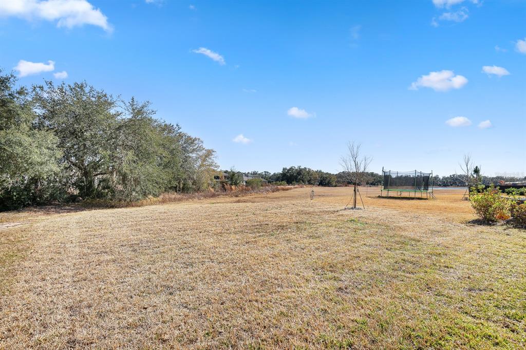 14671 Horse Trot Road Lithia, FL 33547 - Photo 48 of 58
