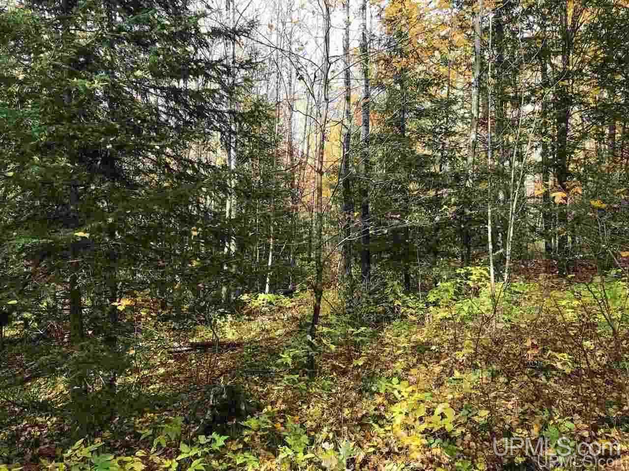Dn Road Rock, MI 49880 - Photo 8 of 15
