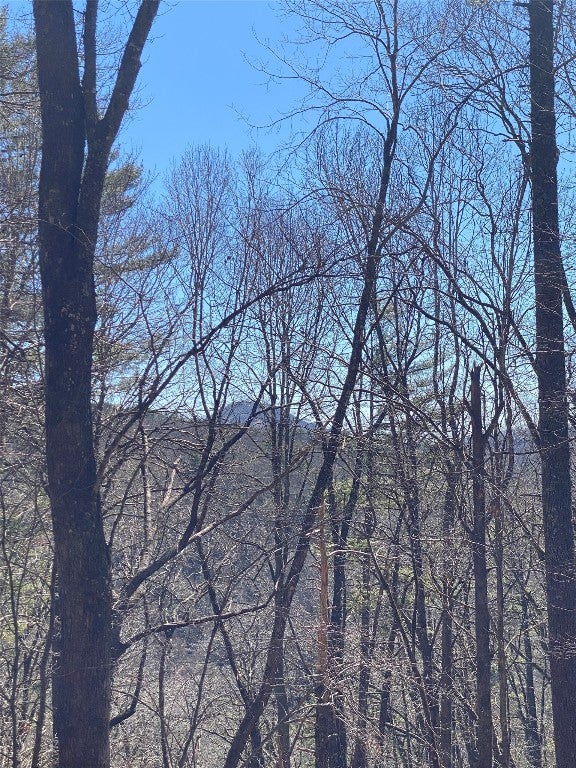Tba View Point Road Highlands, NC 28741 - Photo 1 of 7 Gallery Image 1