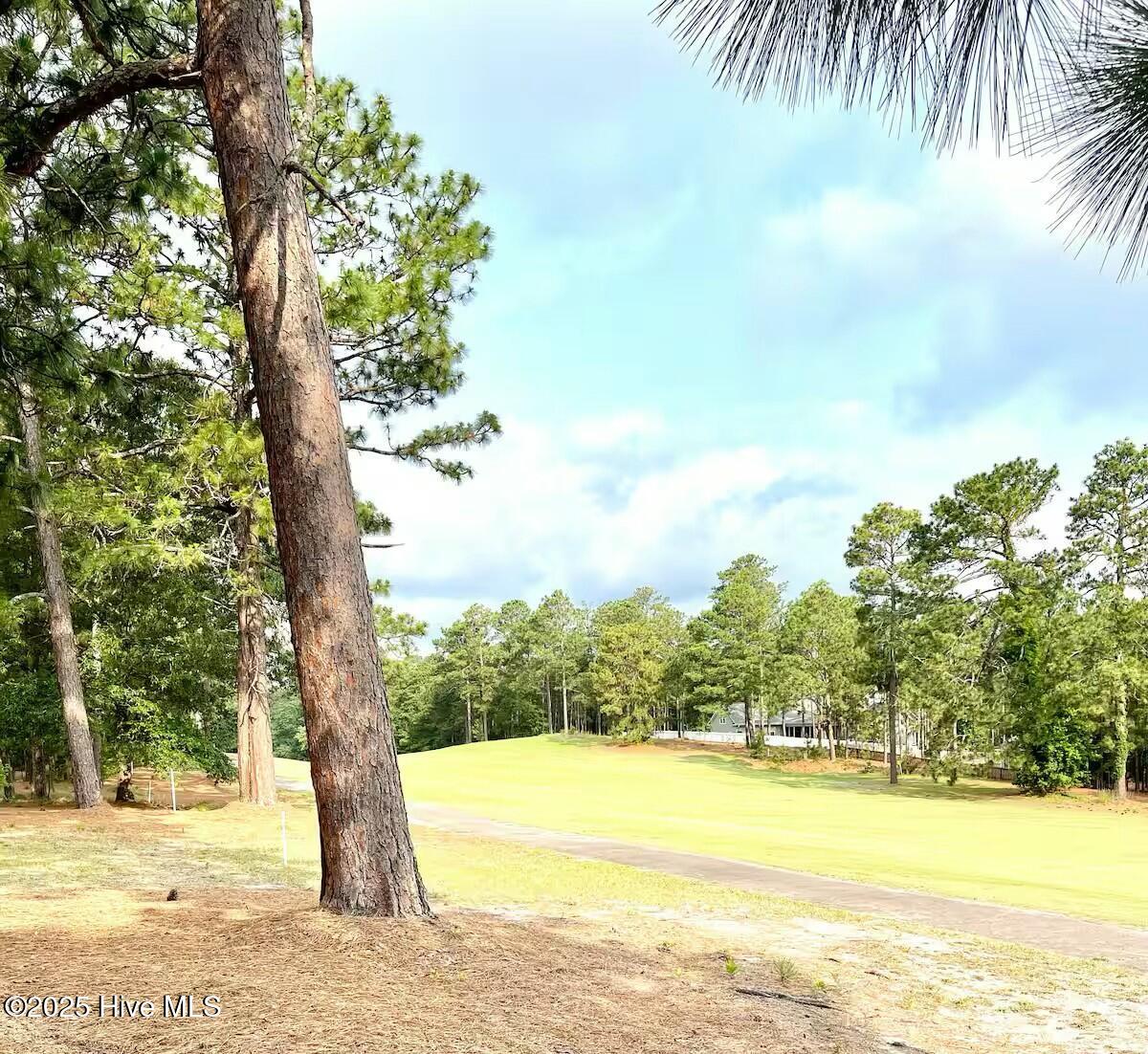 7 Buckhorn Road Jackson Springs, NC 27281 - Photo 29 of 29 tempImage4IIQuB