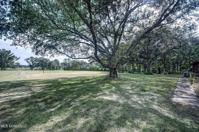 $595,000 | 1229 Holly Bush Road, Brandon, MS 39047