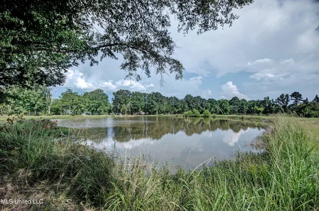 $595,000 | 1229 Holly Bush Road, Brandon, MS 39047