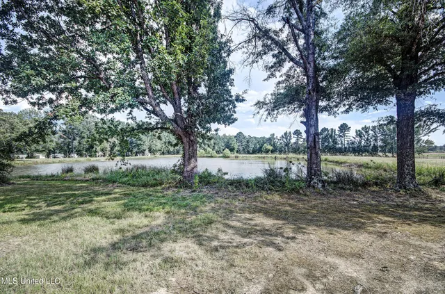 $595,000 | 1229 Holly Bush Road, Brandon, MS 39047