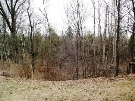 888 South Brye Road Ludington, MI 49431 - Photo 21 of 24 DSCF5647
