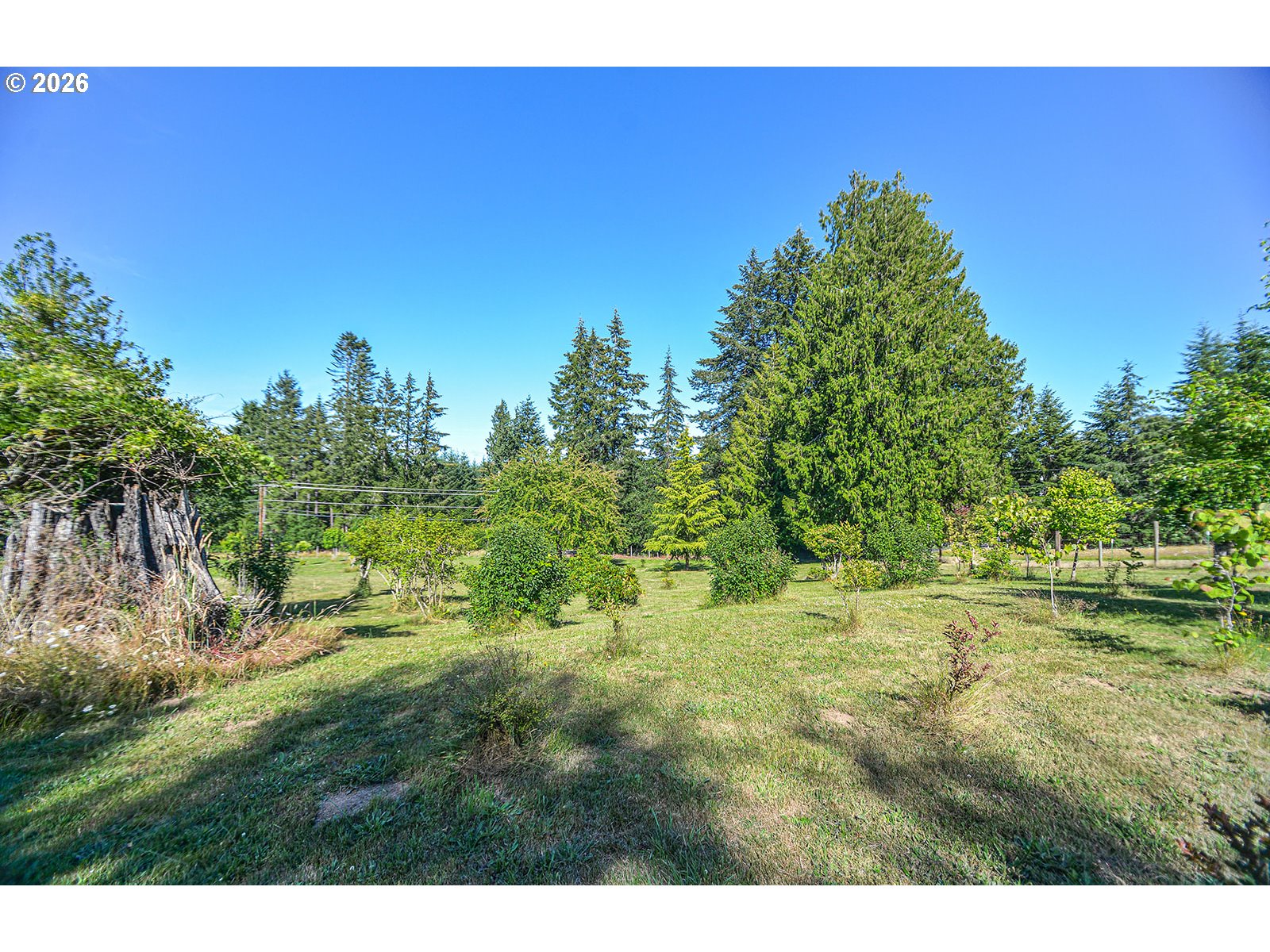27340 Parkdale Road Rainier, OR 97048 - Photo 45 of 47 Yard