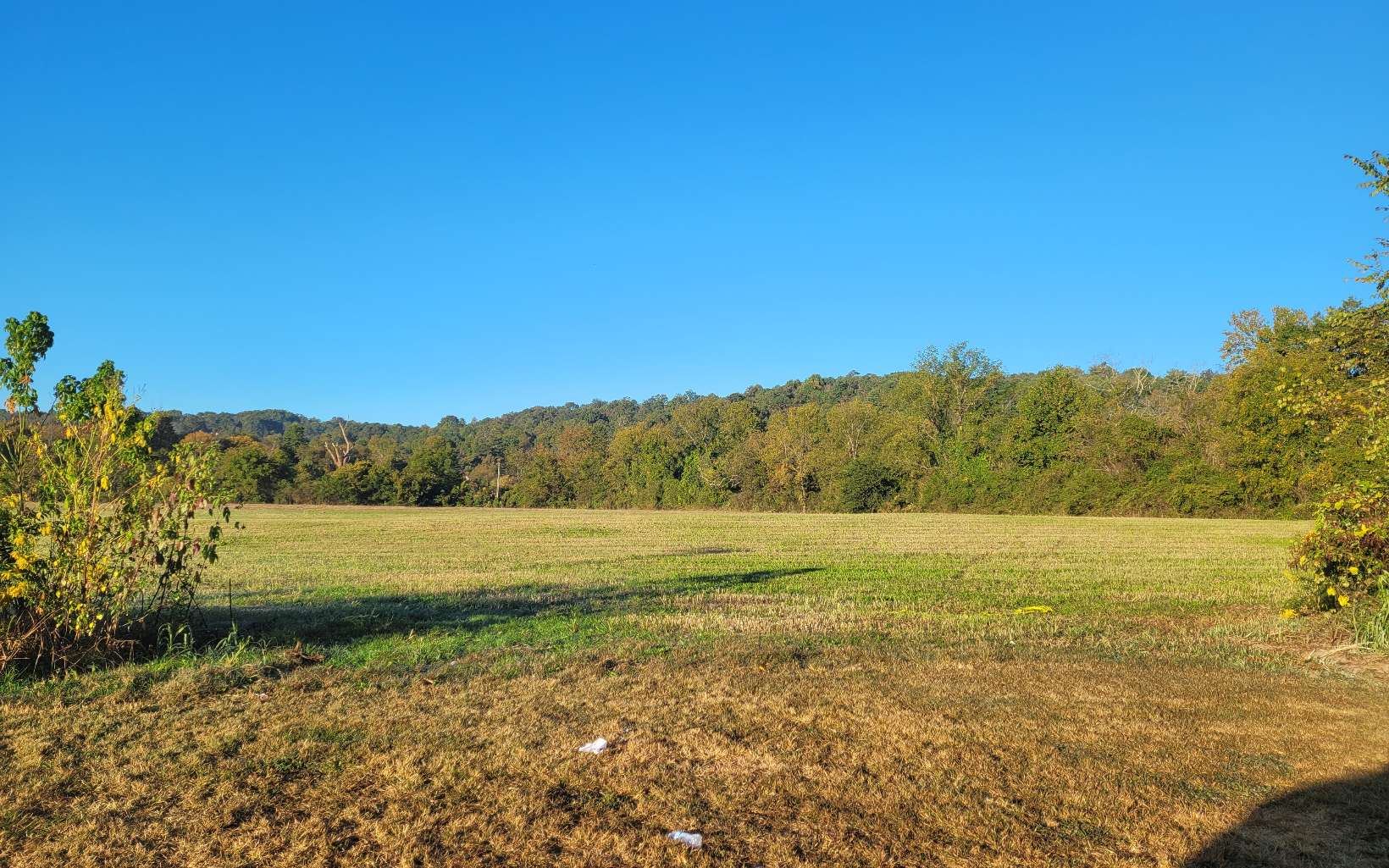 Soccer Field Road Ellijay, GA 30540 - Photo 12 of 14 Additional View
