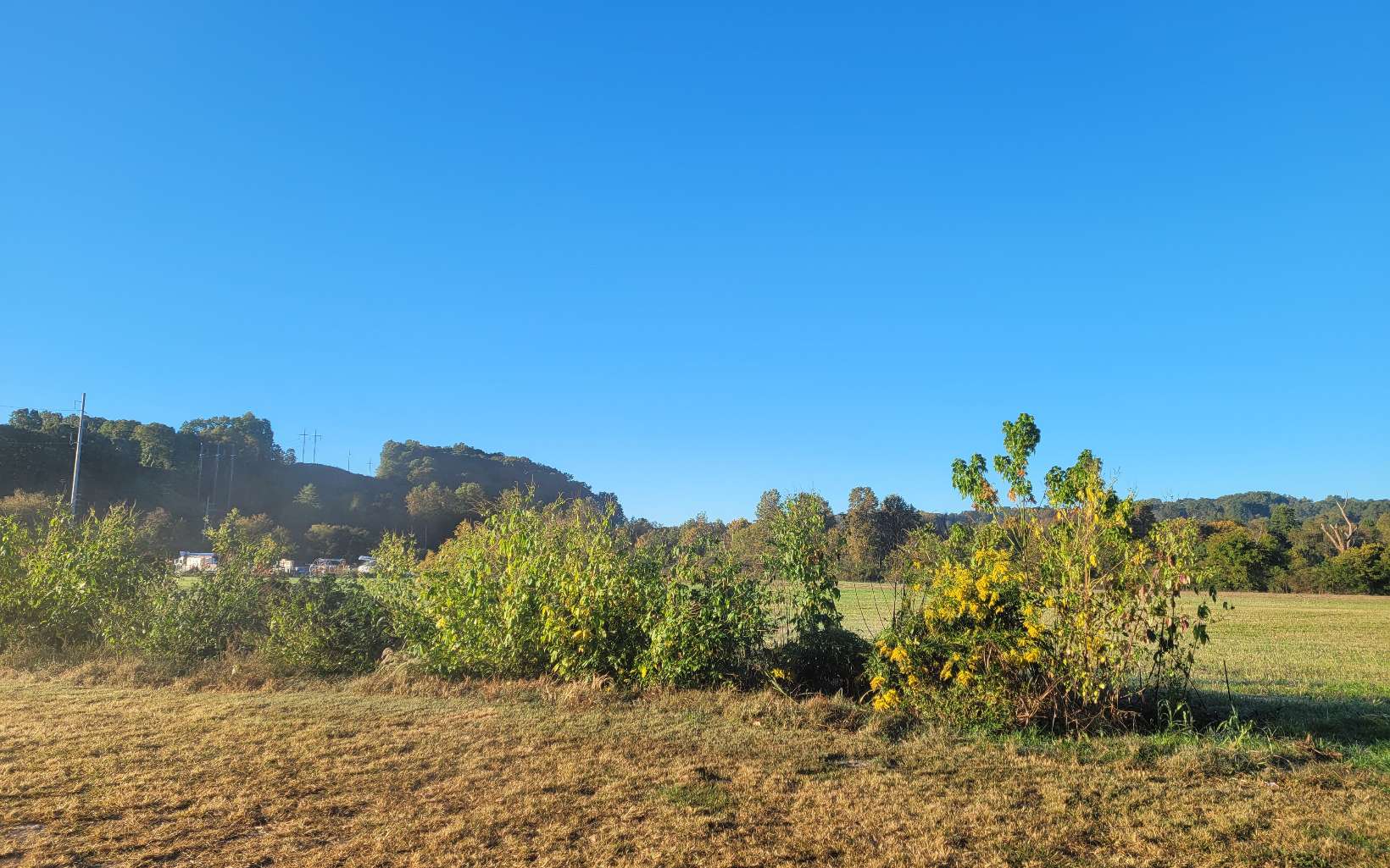 Soccer Field Road Ellijay, GA 30540 - Photo 13 of 14 Additional View