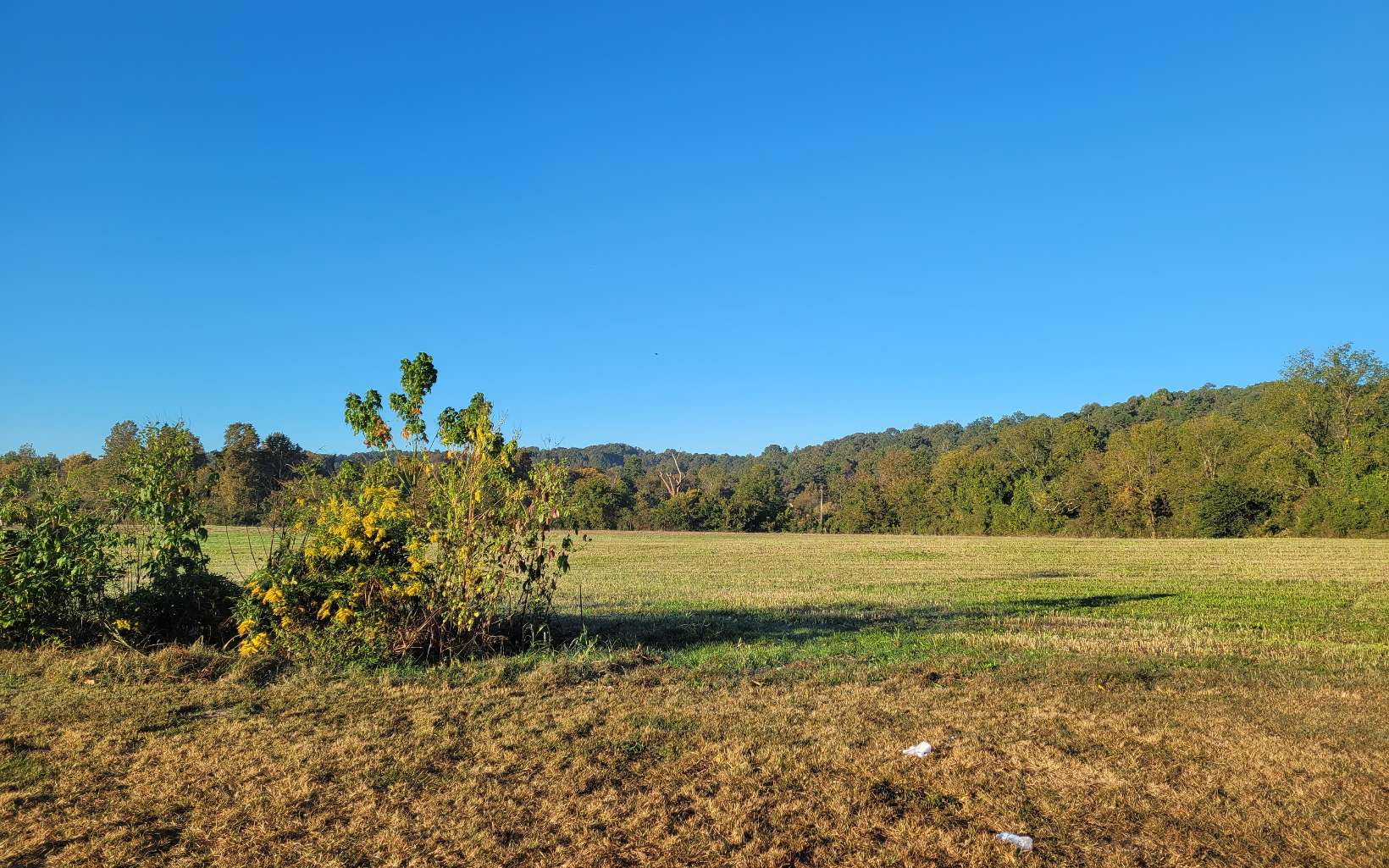 Soccer Field Road Ellijay, GA 30540 - Photo 14 of 14 Additional View
