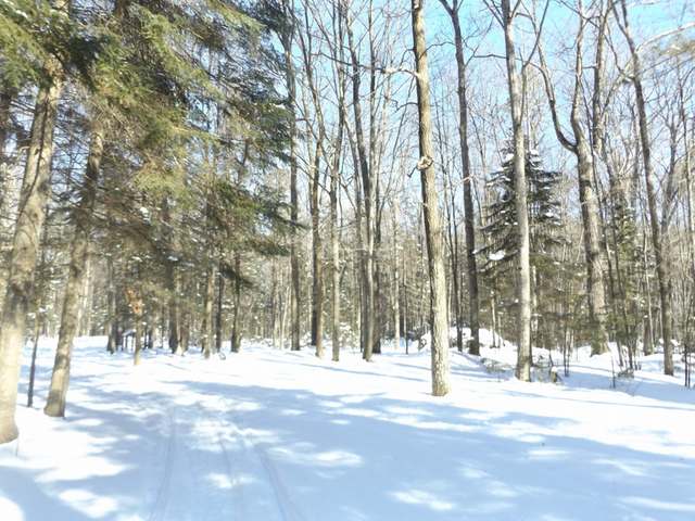 N10798 Clear Lake Road Elcho, WI 54428 - Photo 19 of 20 Gallery Image 19