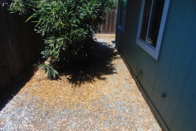 3835 Gardiner Ferry Road, Unit 36 Corning, CA 96021 - Photo 28 of 43 a view of path along with trees