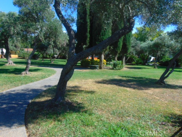 3835 Gardiner Ferry Road, Unit 36 Corning, CA 96021 - Photo 42 of 43 a view of a park
