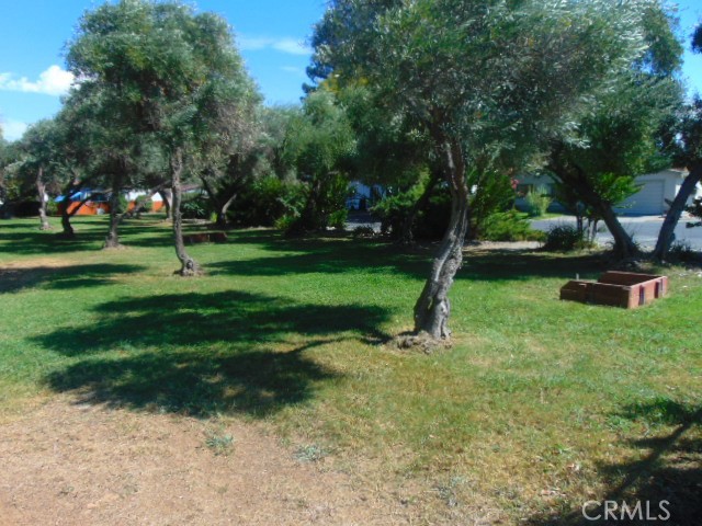 3835 Gardiner Ferry Road, Unit 36 Corning, CA 96021 - Photo 43 of 43 a view of a park with plants and trees