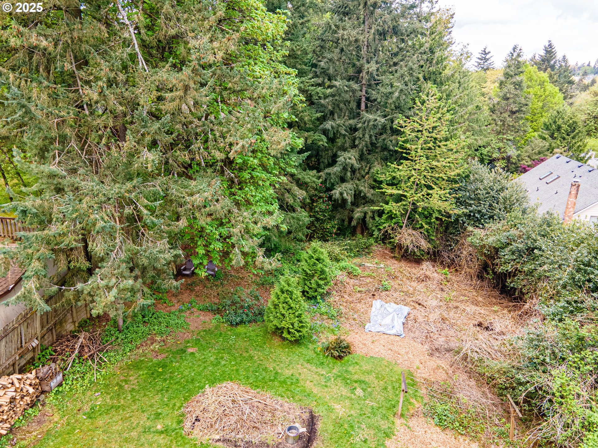 0 Southwest 25th Avenue, Unit 2 Portland, OR 97219 - Photo 3 of 12 a view of a yard with plants and trees