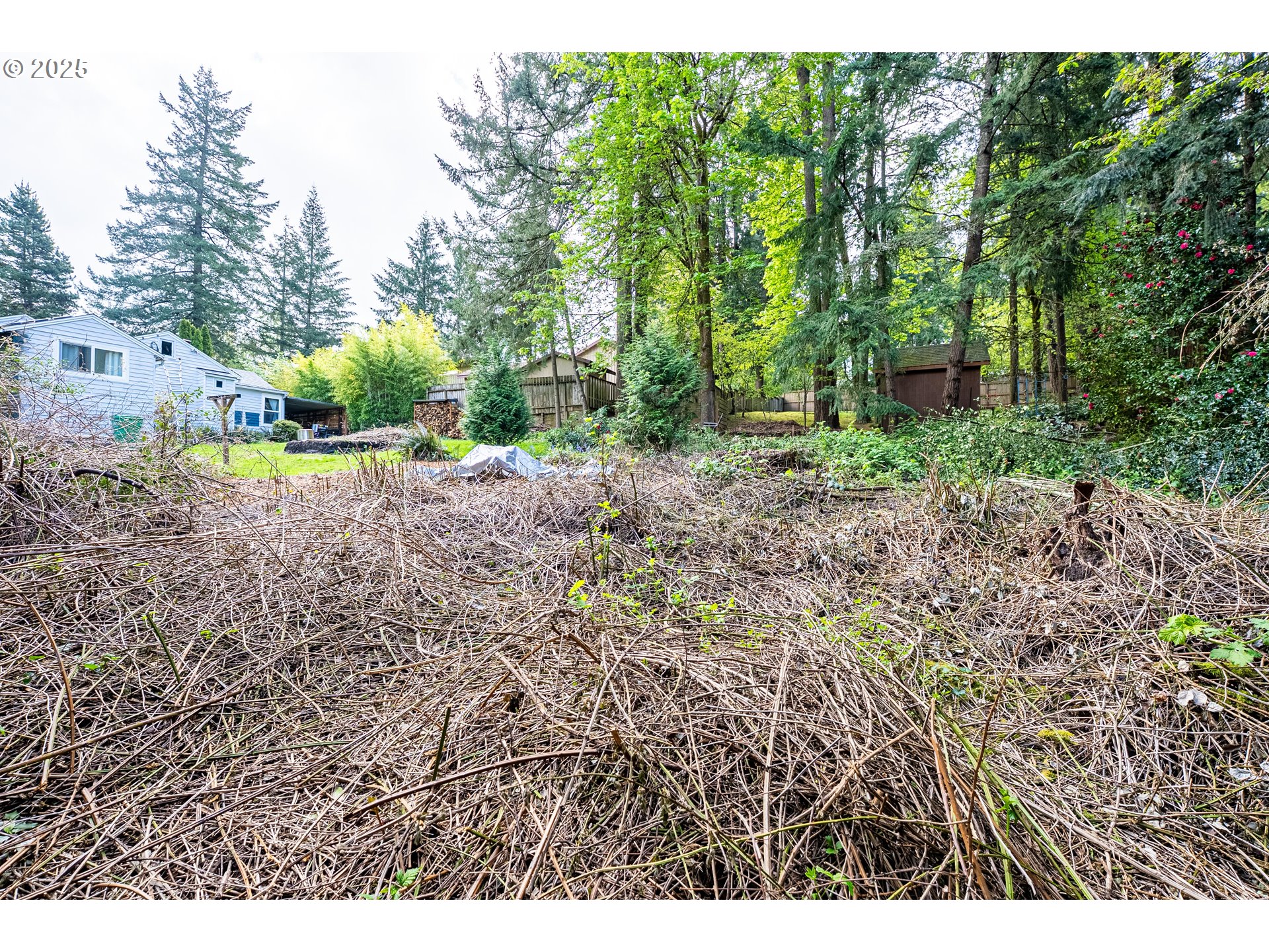 0 Southwest 25th Avenue, Unit 2 Portland, OR 97219 - Photo 7 of 12 a view of a yard with plants and trees