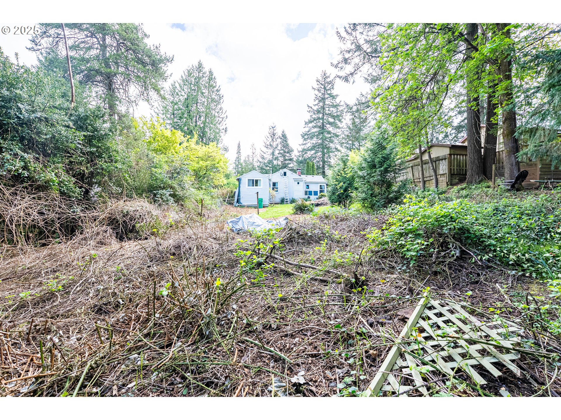 0 Southwest 25th Avenue, Unit 2 Portland, OR 97219 - Photo 8 of 12 a view of outdoor space and garden