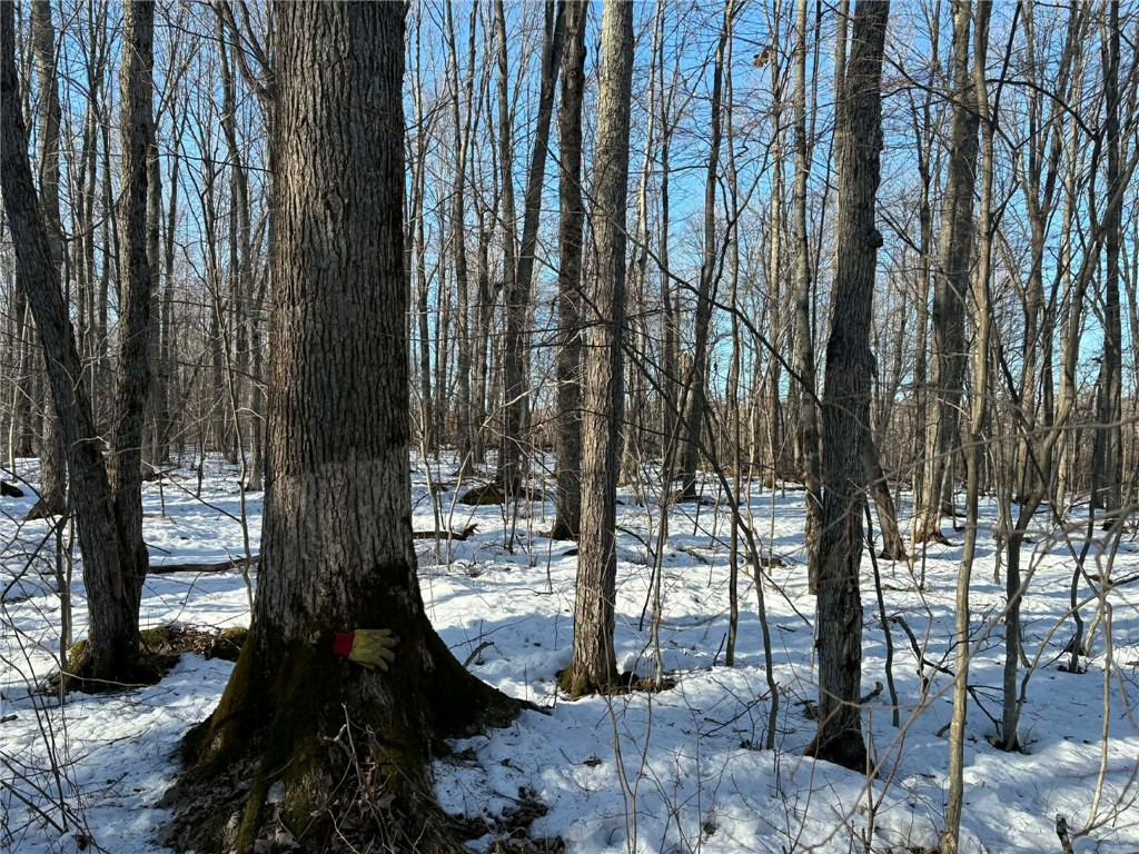 0 Winter Road Ladysmith, WI 54848 - Photo 3 of 13