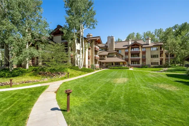 a view of a park with plants and trees