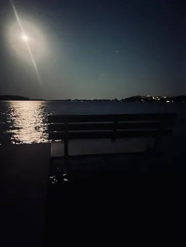 $850,000 | 20 Lake Avenue, Madison Lake, MN 56063