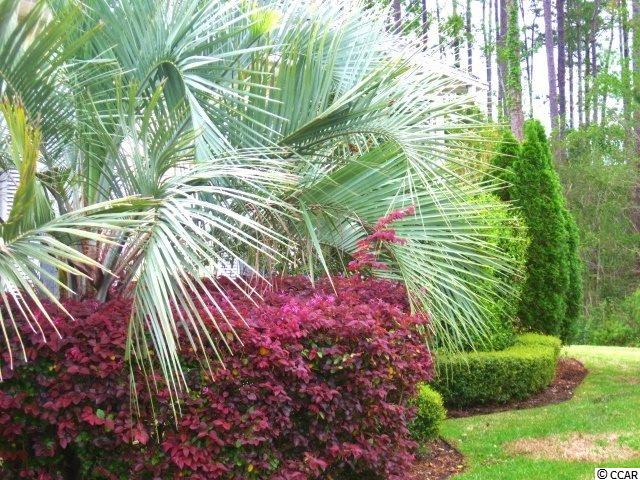 414 Valhalla Lane Murrells Inlet, SC 29576 - Photo 28 of 40