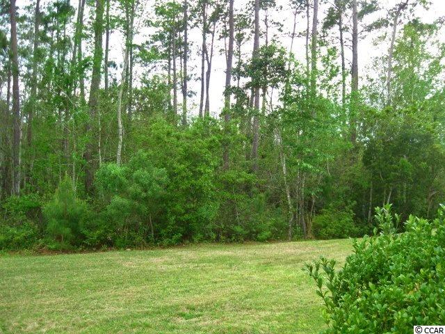 414 Valhalla Lane Murrells Inlet, SC 29576 - Photo 31 of 40