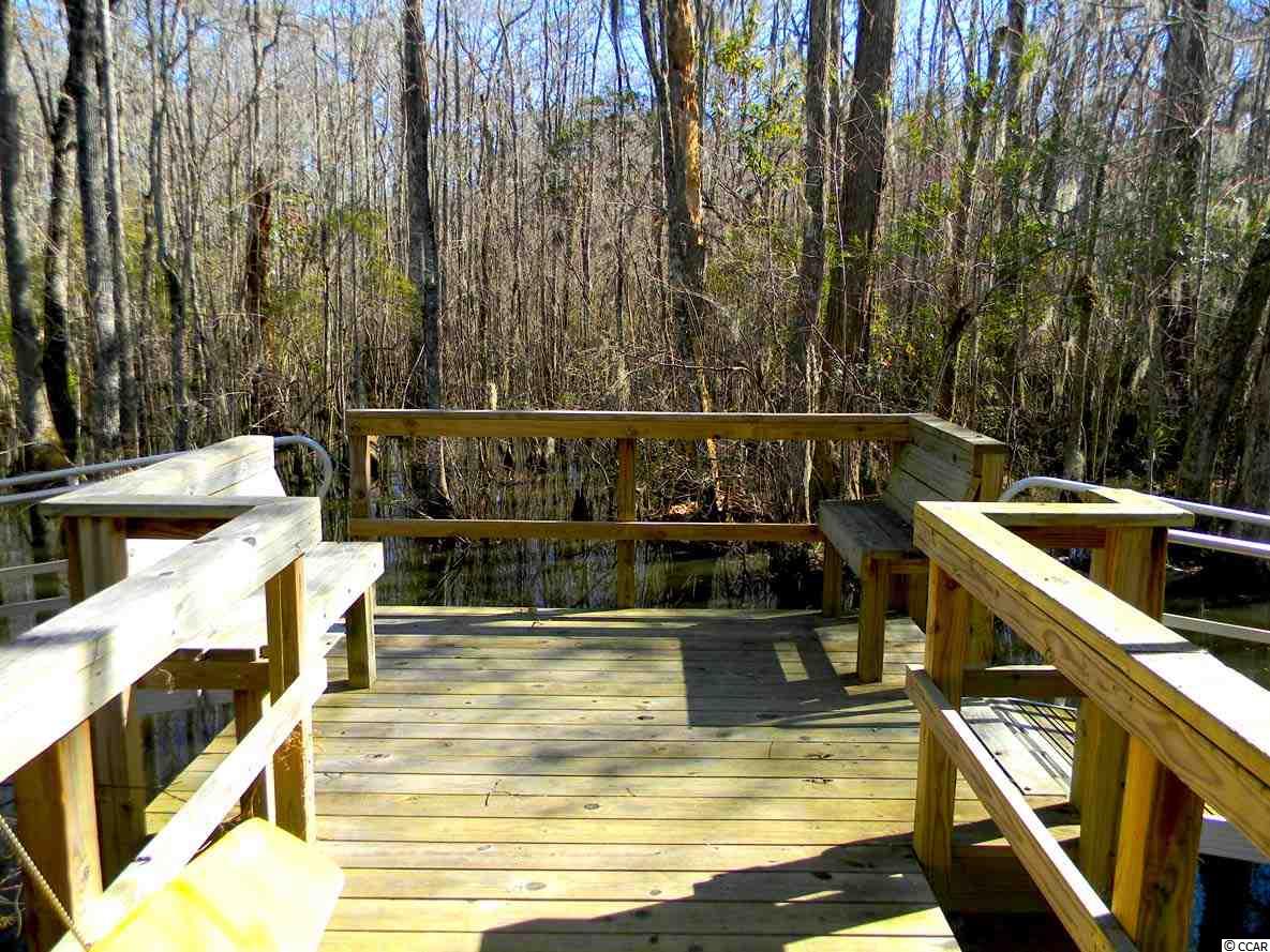 414 Valhalla Lane Murrells Inlet, SC 29576 - Photo 36 of 40