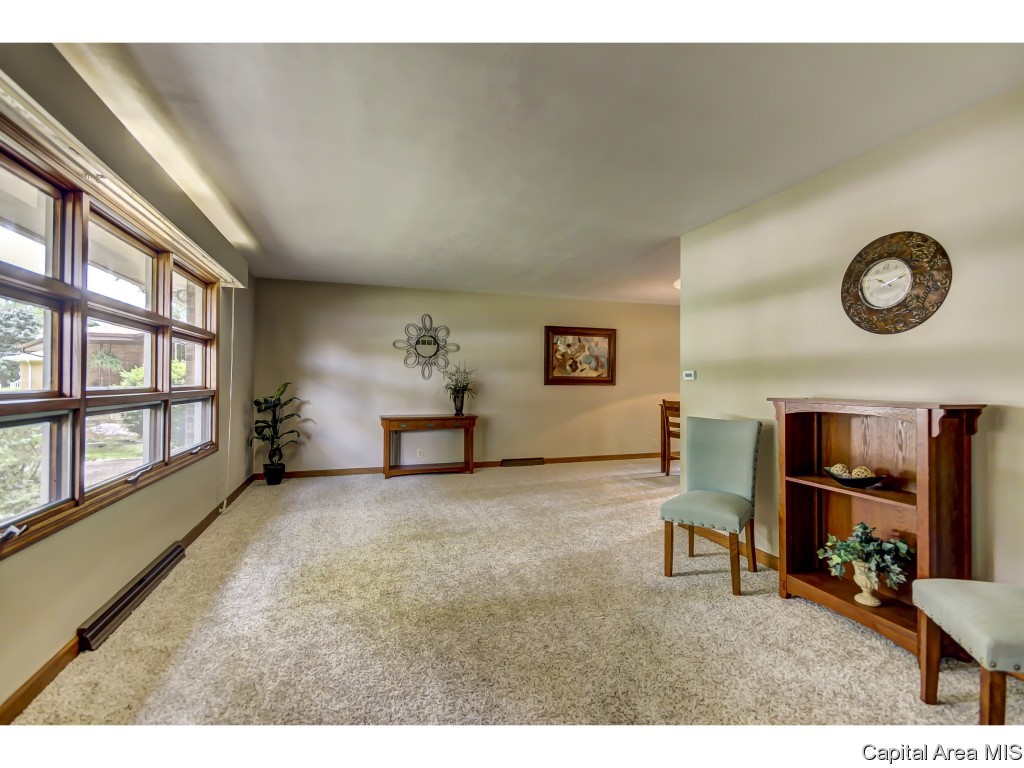 8 Walberta Drive Rochester, IL 62563 - Photo 11 of 29 Gallery Image 11