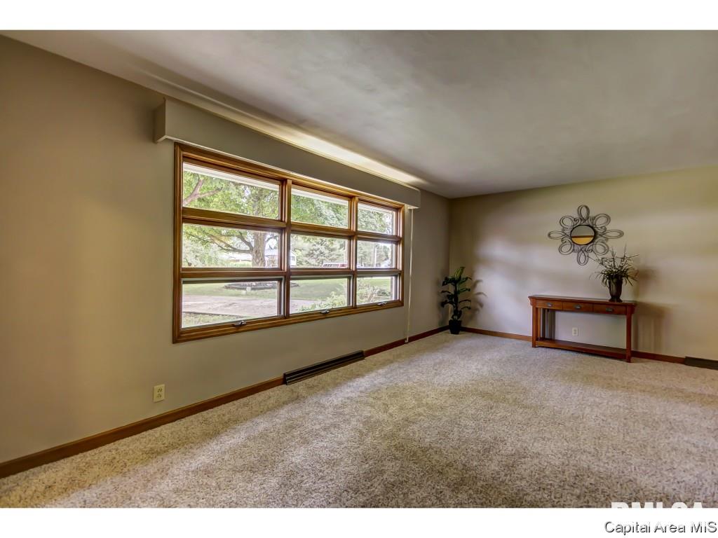 8 Walberta Drive Rochester, IL 62563 - Photo 13 of 29 Gallery Image 13