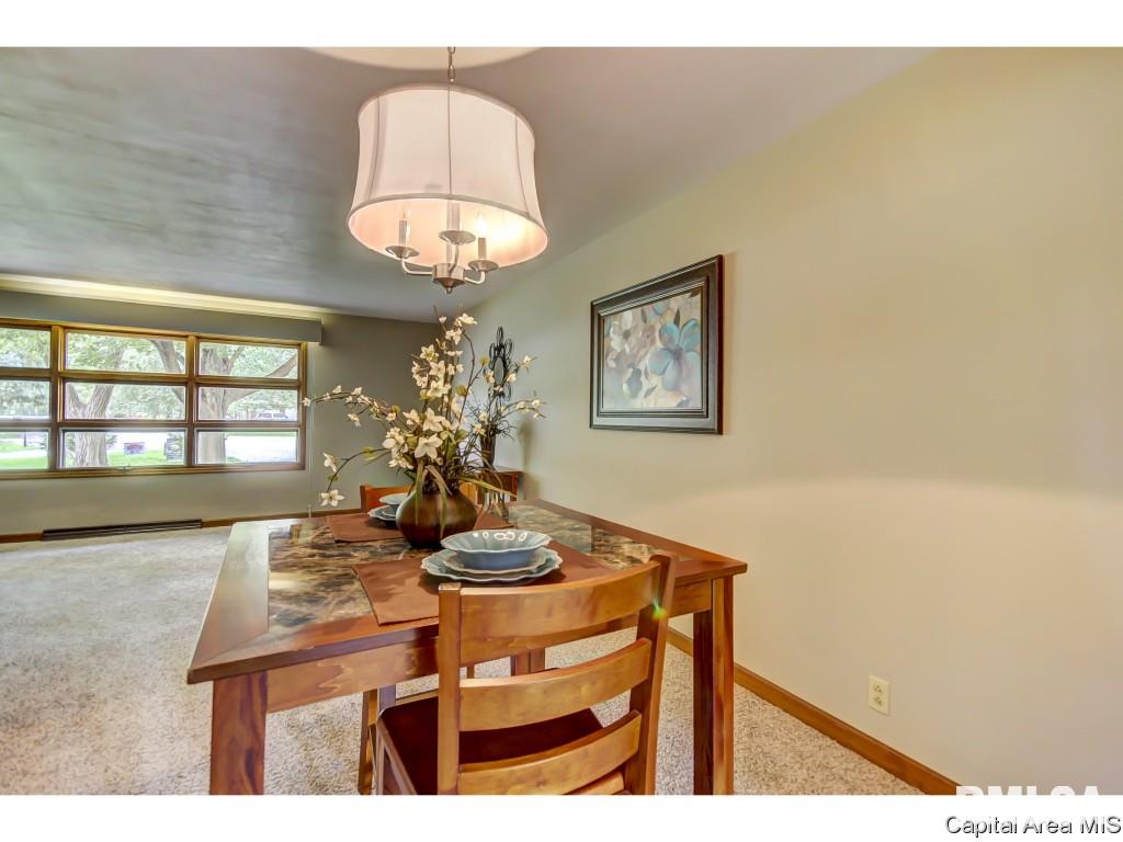 8 Walberta Drive Rochester, IL 62563 - Photo 16 of 29 Gallery Image 16