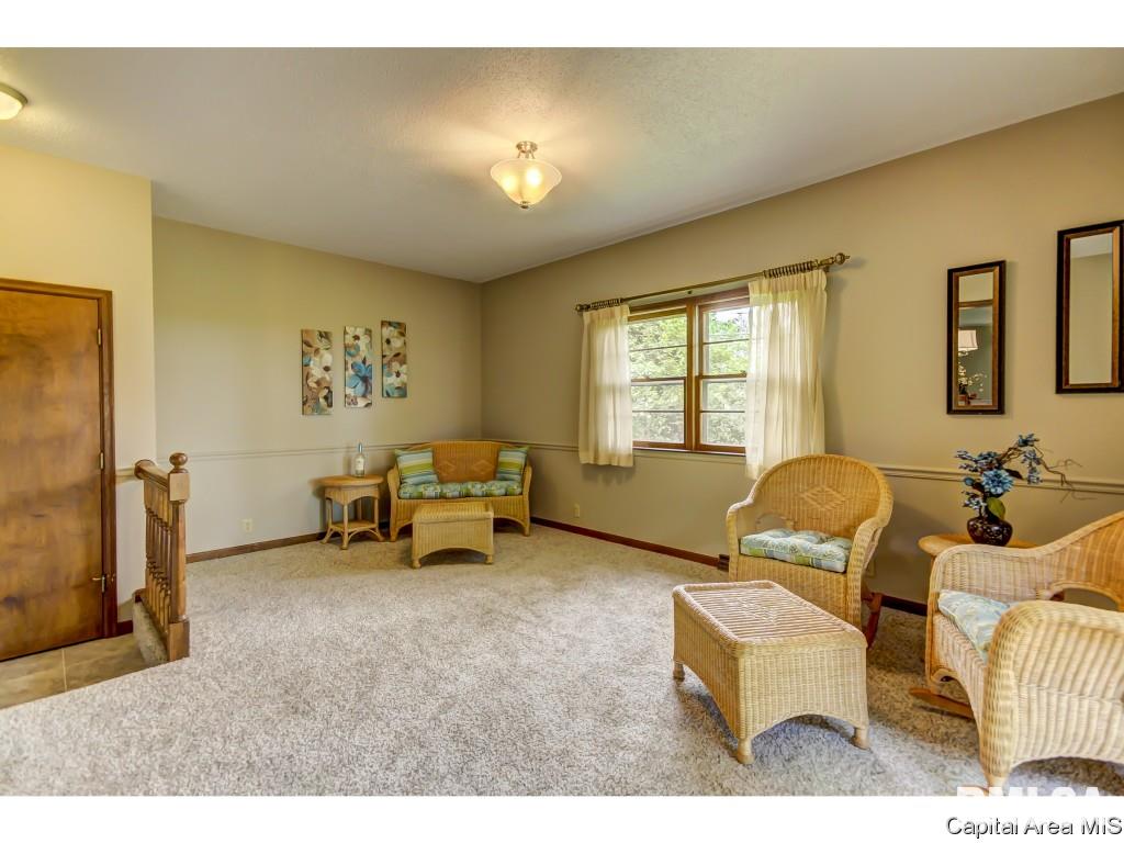 8 Walberta Drive Rochester, IL 62563 - Photo 9 of 29 Gallery Image 9