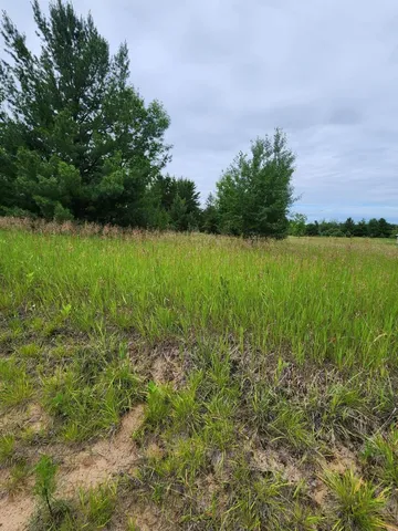 $8,999 | 0 392nd Street, Browerville, MN 56438