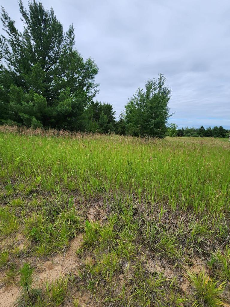 0 392nd Street Browerville, MN 56438 - Photo 9 of 9