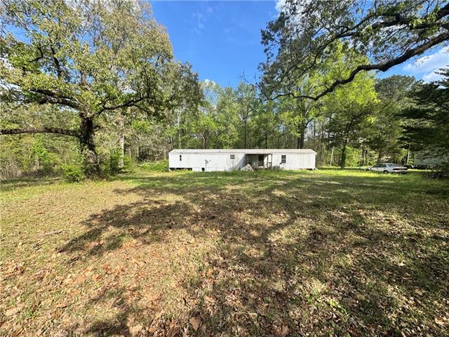 243 Newsome Road Pineville, LA 71360 - Photo 1 of 7
