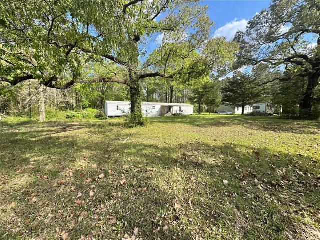 243 Newsome Road Pineville, LA 71360 - Photo 2 of 7
