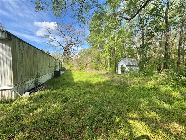 243 Newsome Road Pineville, LA 71360 - Photo 4 of 7